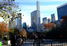 美国纽约租房注意事项-拔草酱