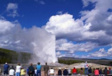 黄石公园景点介绍-拔草酱