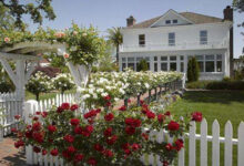 如何在美国找房-拔草酱