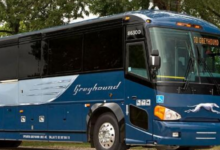 洛杉矶机场有哪些交通工具？-拔草酱