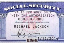 在美国社会安全卡丢了怎么办-拔草酱